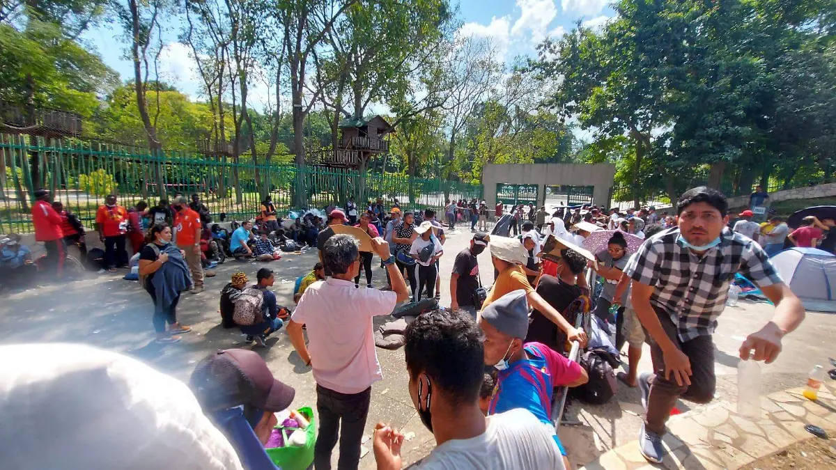 migracion