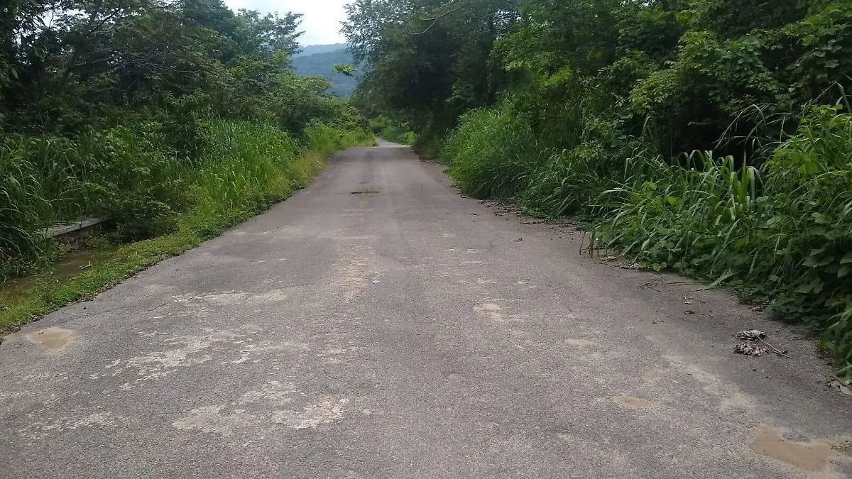 carrtera