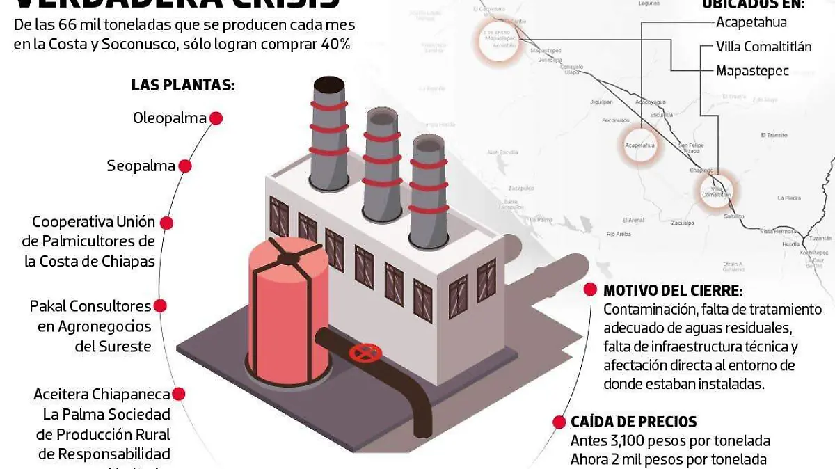 Grafico Palma de Aceite