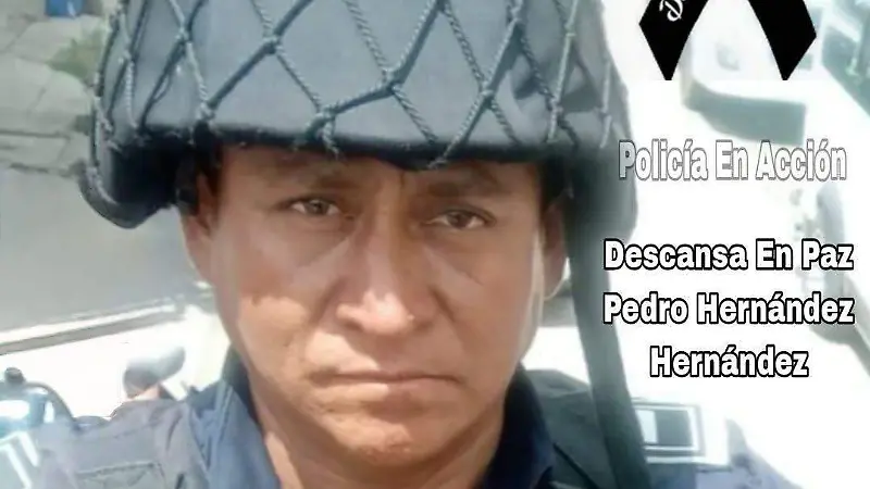 pedro