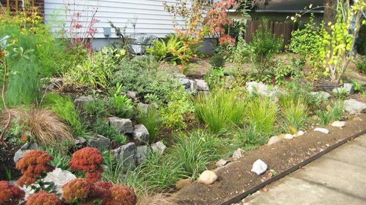 Rain_Garden_01