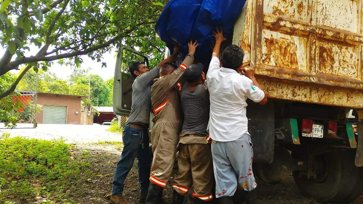 trabajadores