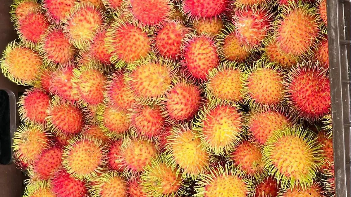 Rambutan