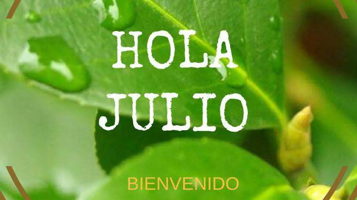 Hola julio