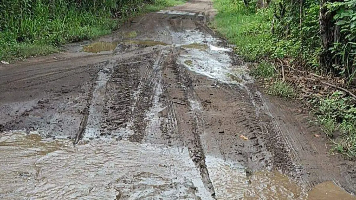 camino