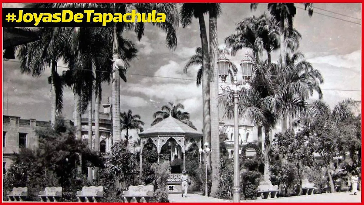 #DENUNCIA (1)