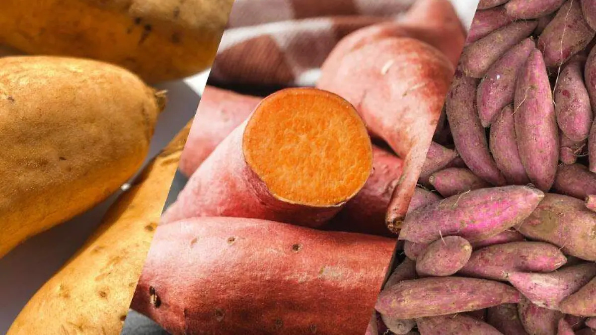 camote-variedad 