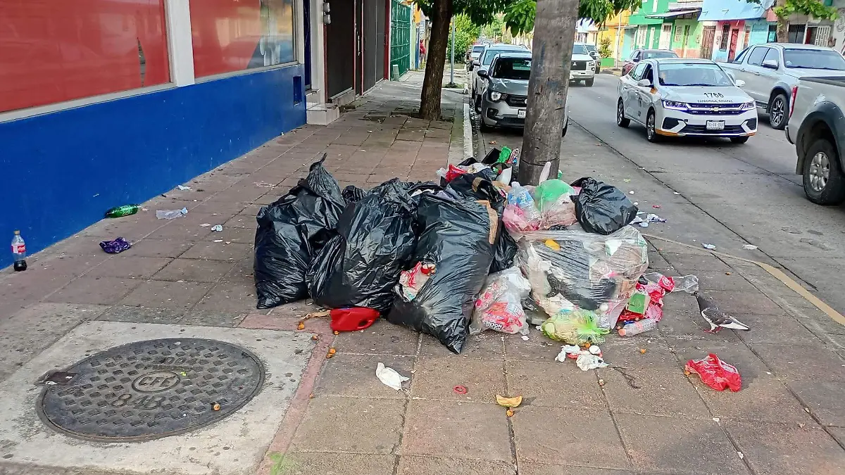 Basura 