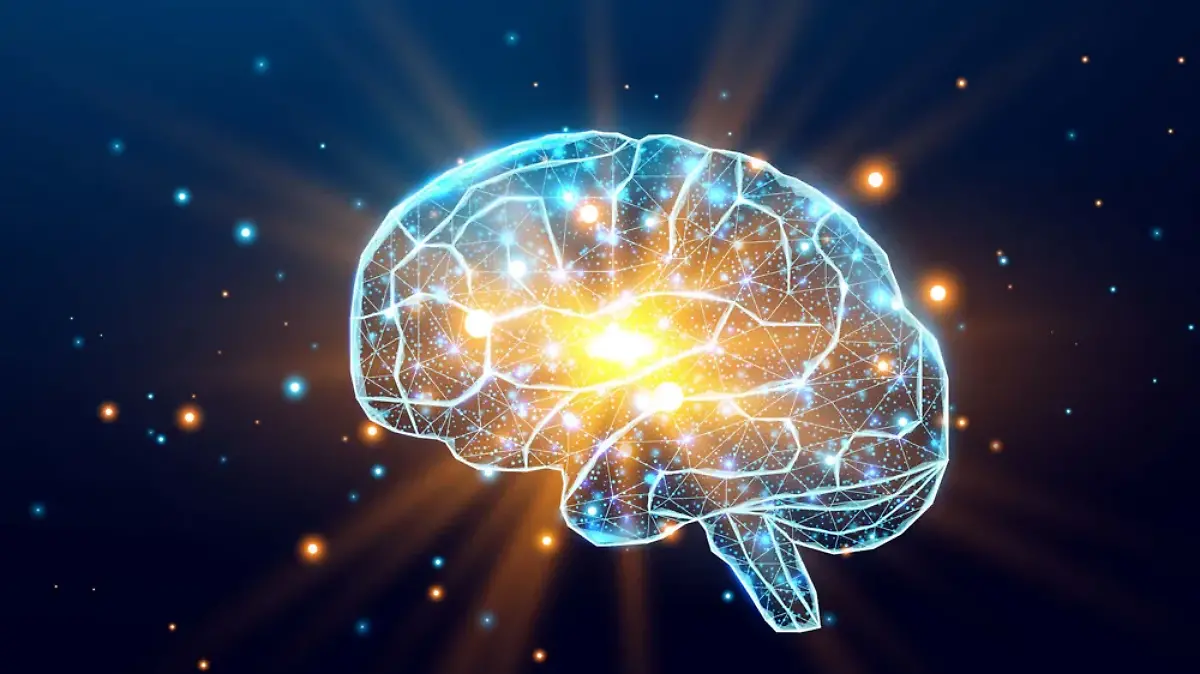 cerebro