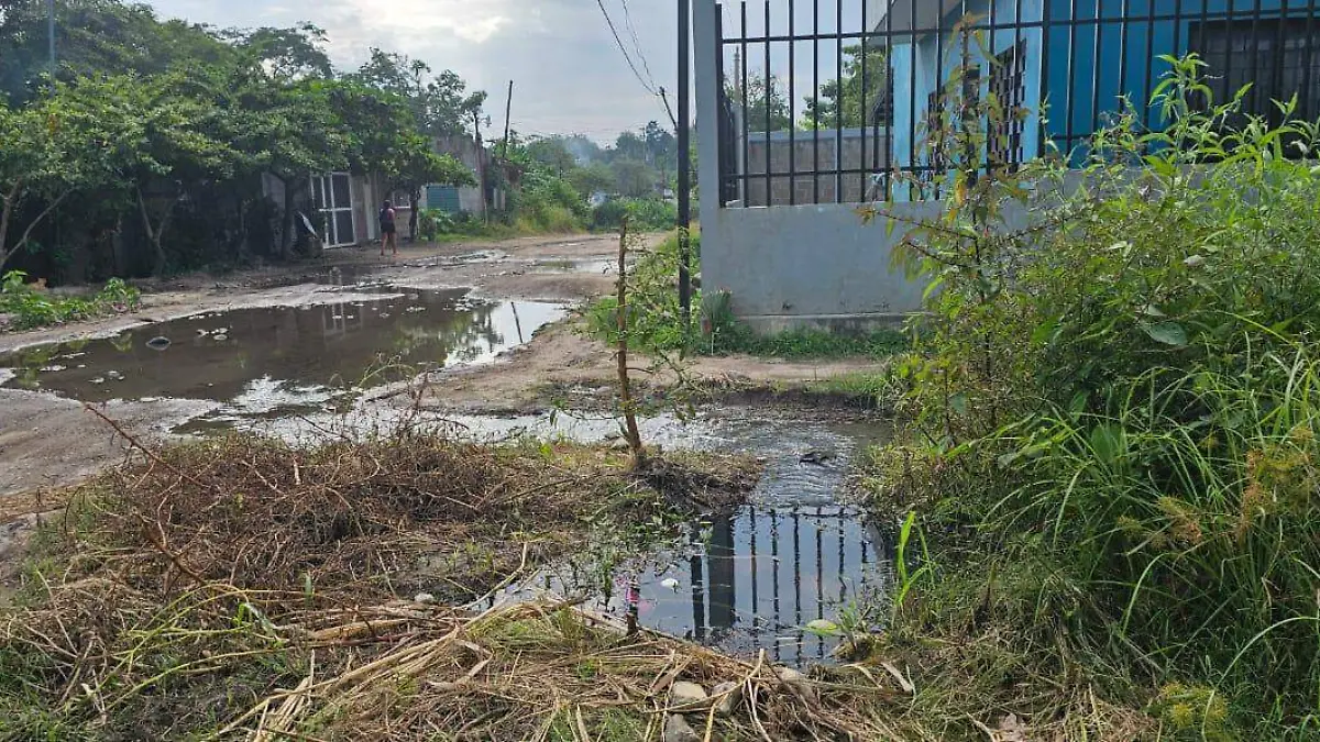 Rivera Maya y 3 de Marzo