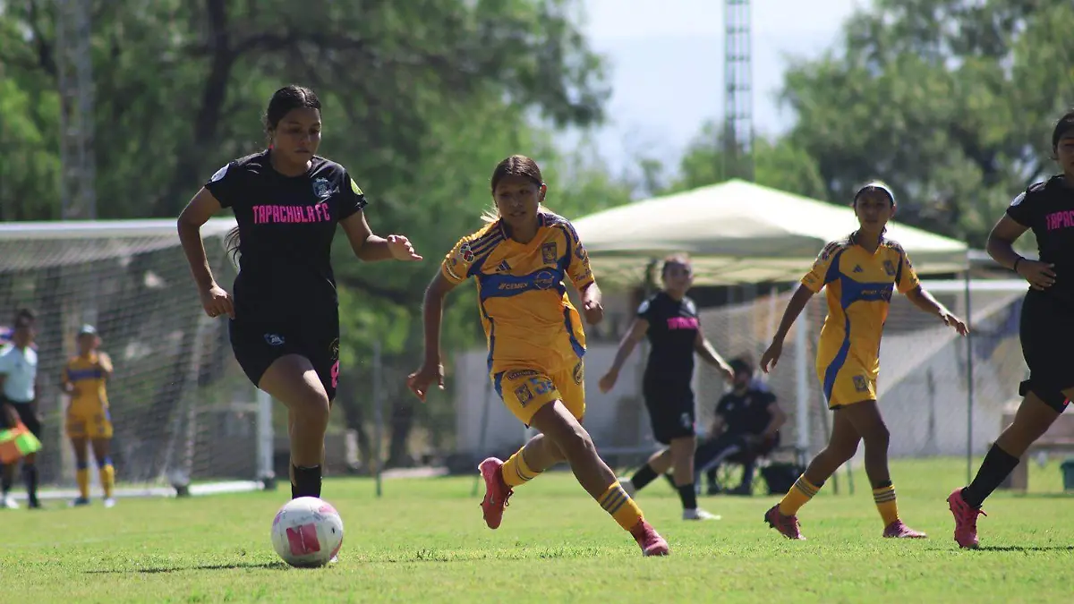 futbol 