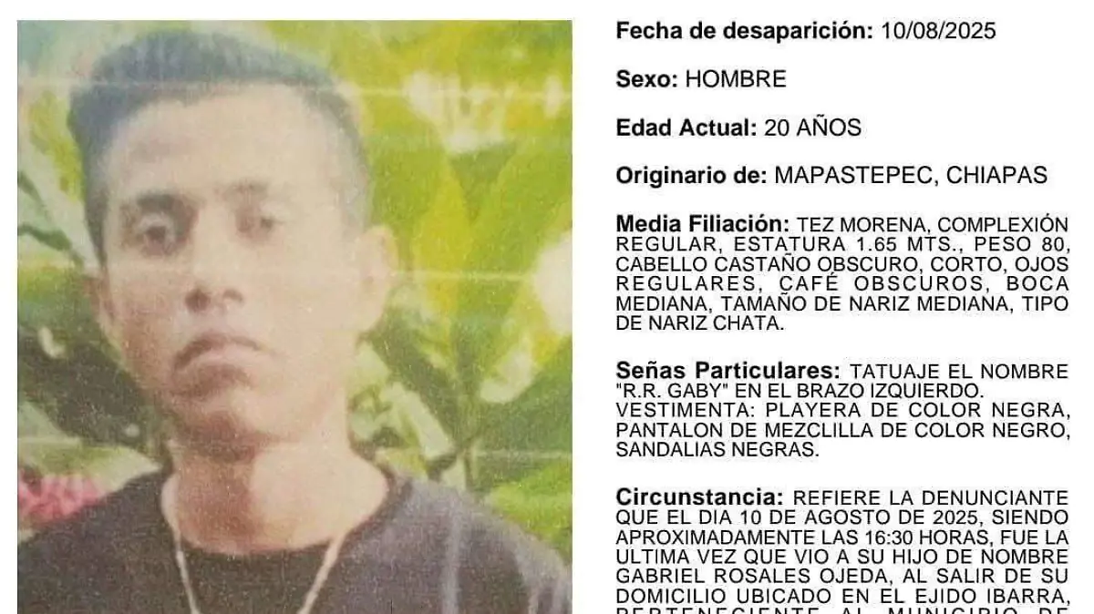desaparecido 