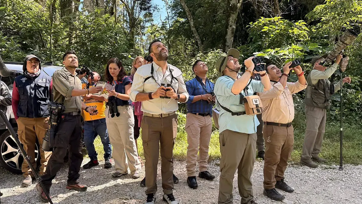 Avistamiento de aves