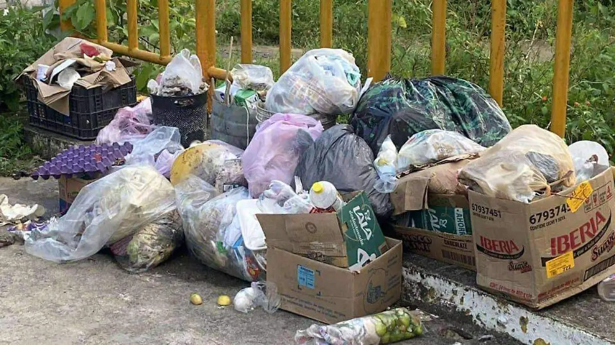 basura2