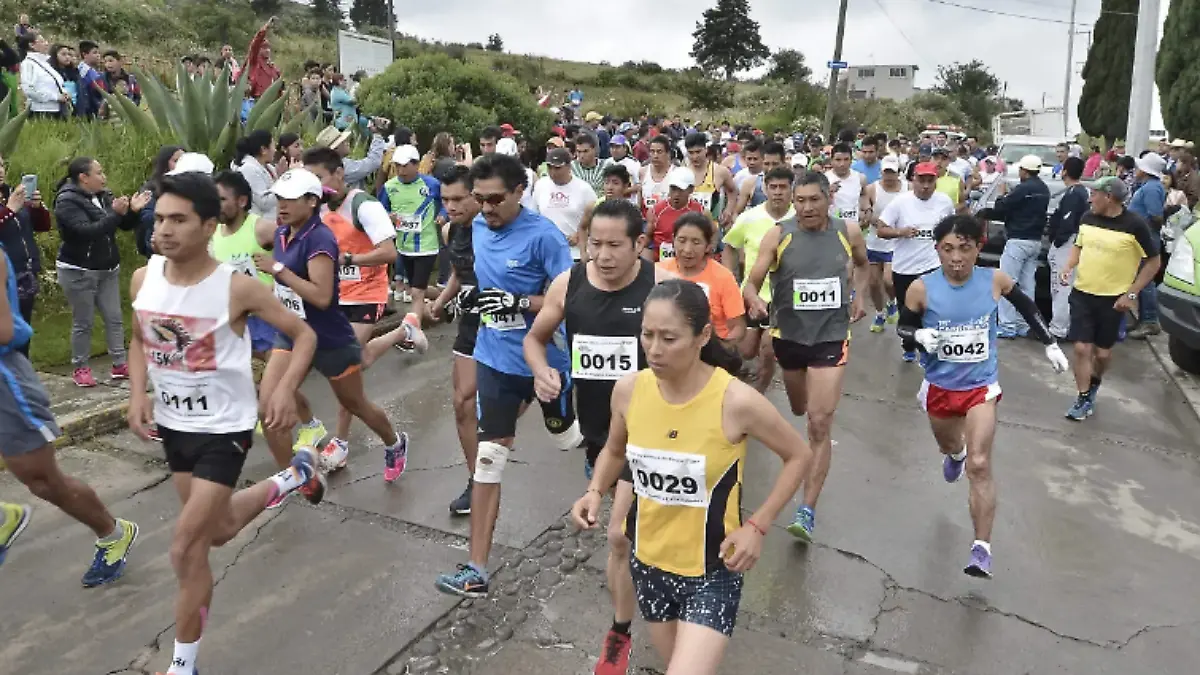 Running OEM Toluca