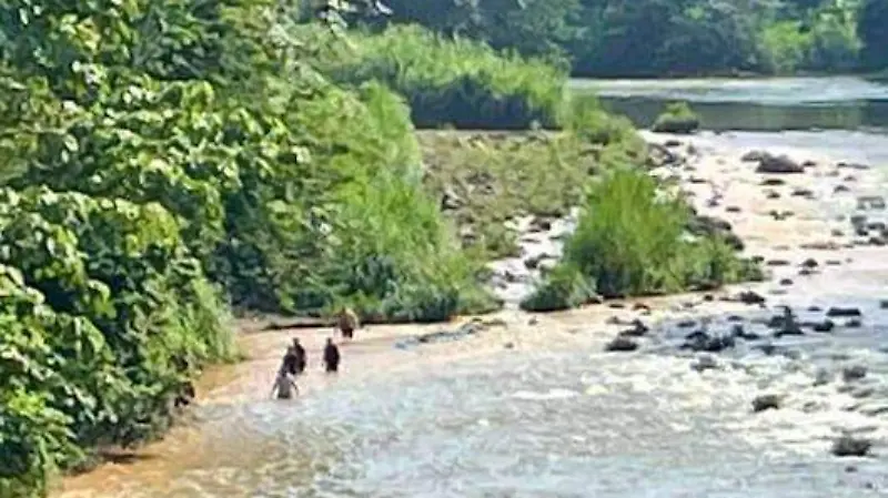 Búsqueda