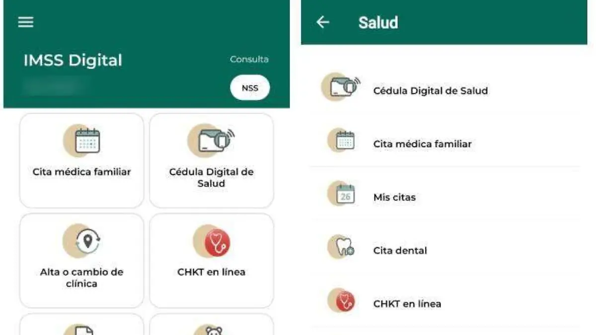 Proyecto nuevo (1)