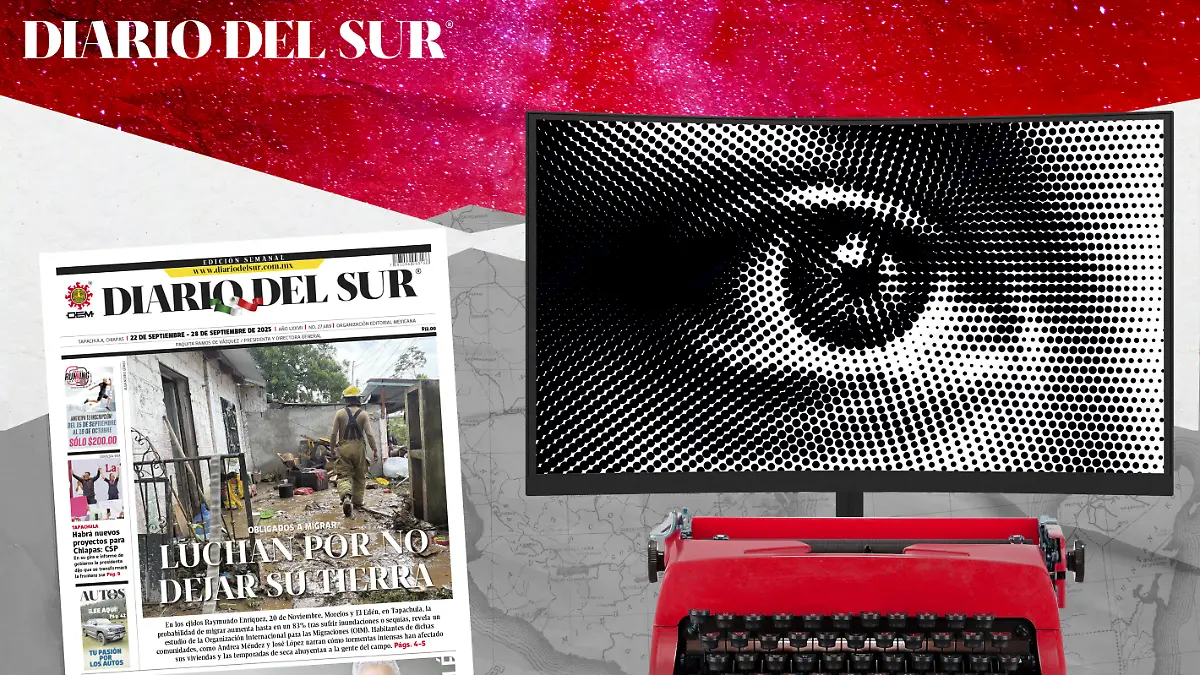 Diario del Sur