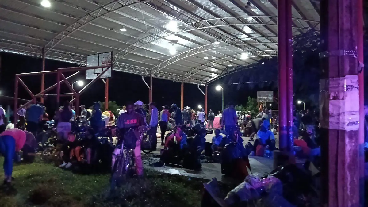 migrantes 