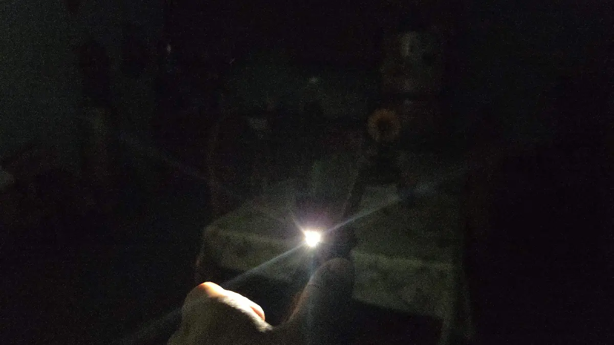 1000351871