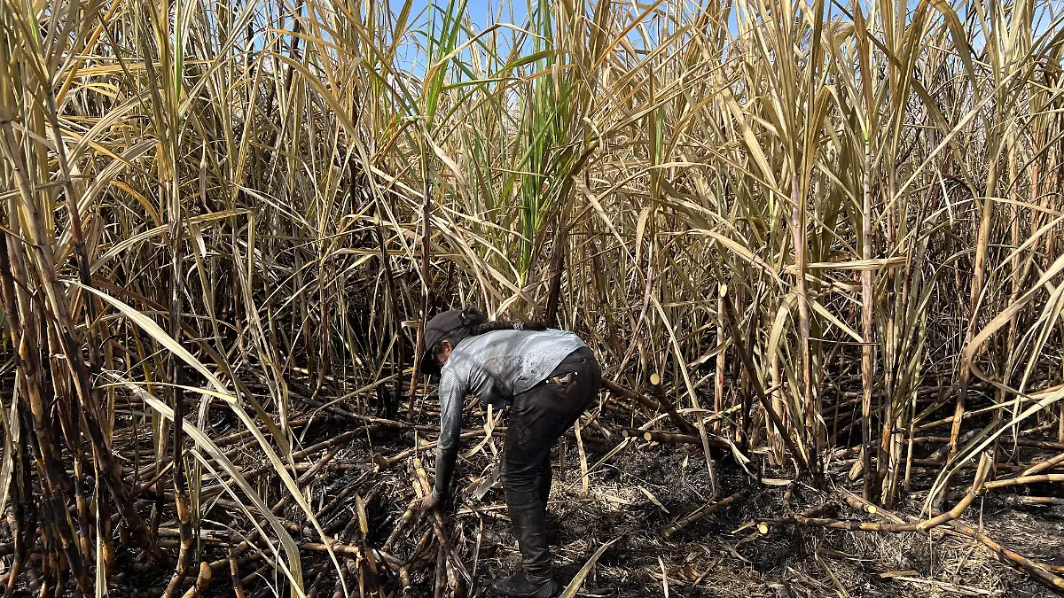 Lo han querido atrapar