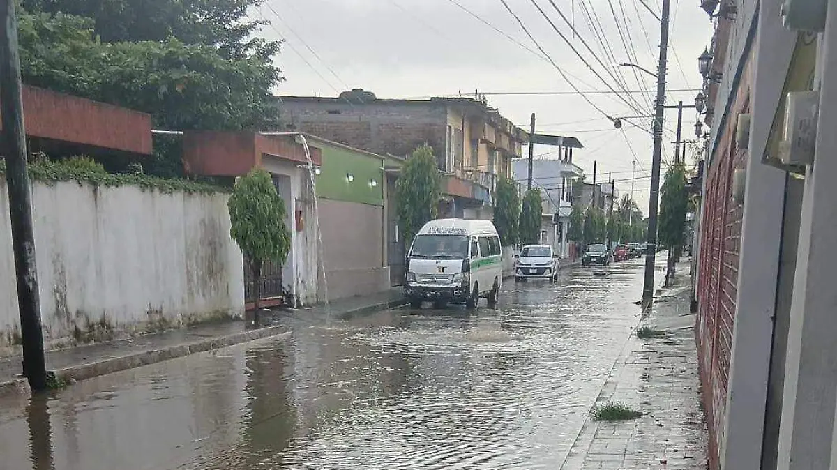Calle