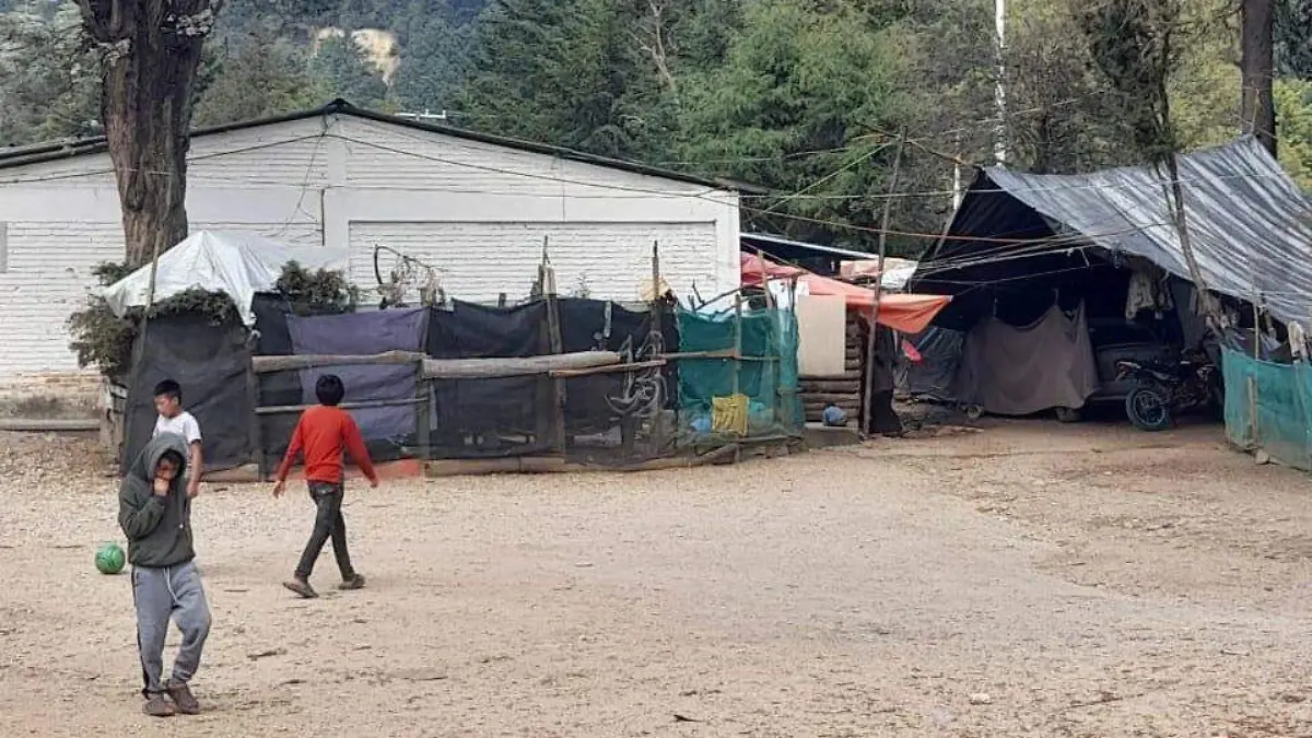 Casas de nailo en campamento