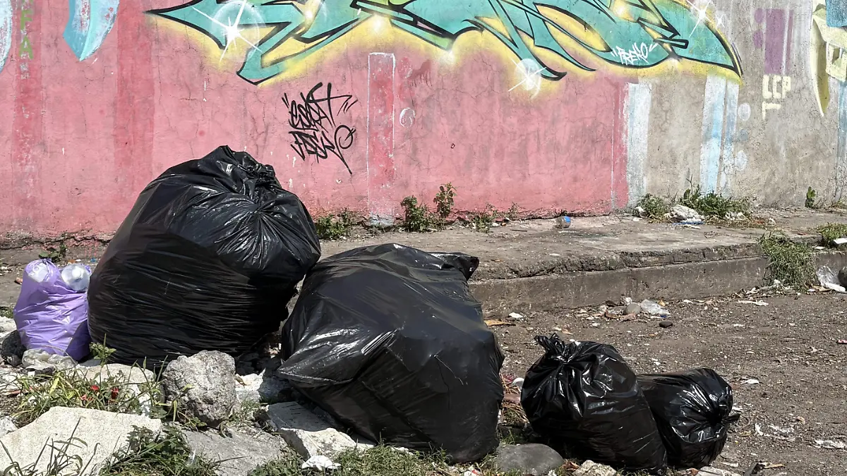 BASURA 