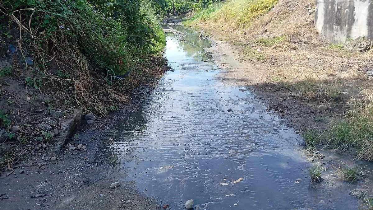 WhatsApp Image 2025-11-18 at 9.33.45 PM