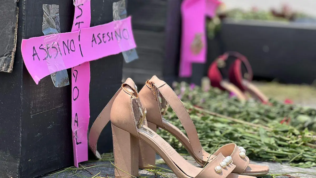 FEMINICIDIO orfandad