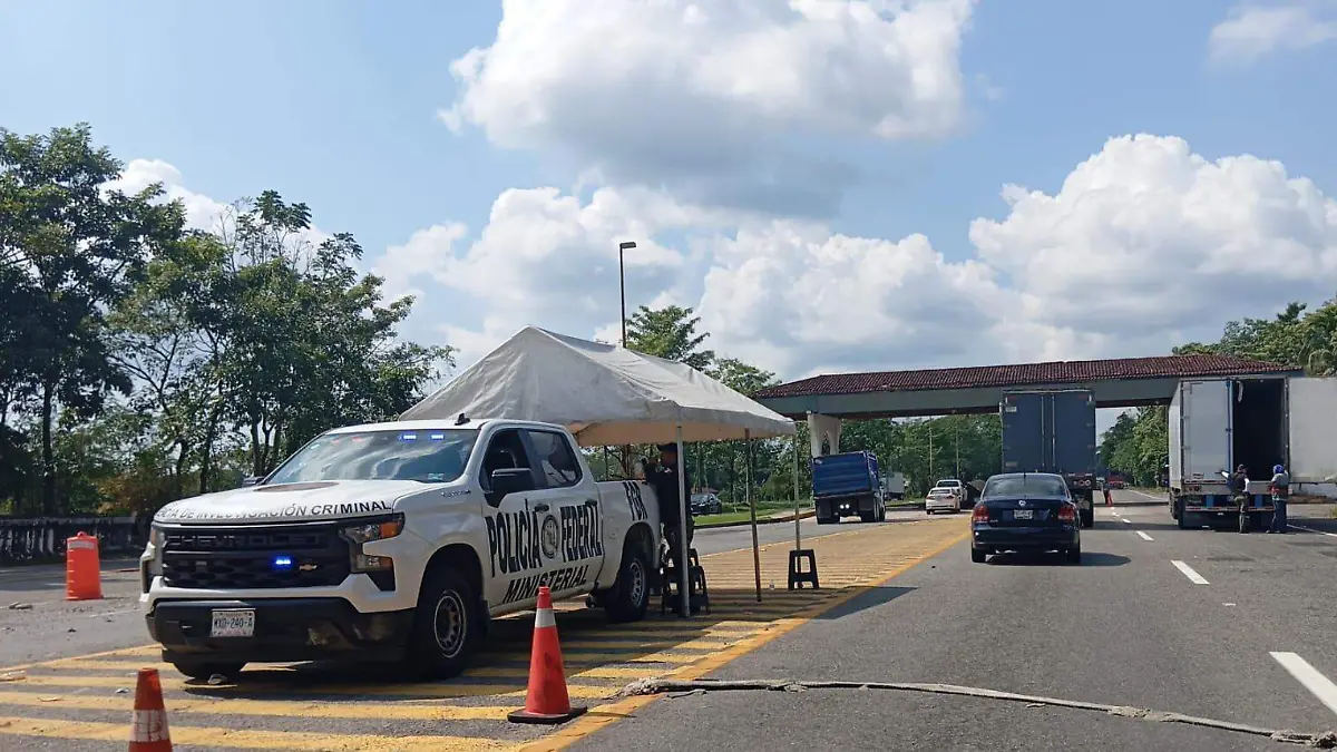 WhatsApp Image 2025-12-03 at 12.56.08 PM