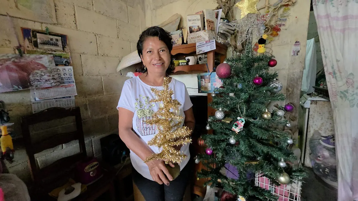 Familias de Tapachula mantienen la tradición del árbol navideño pese a ingresos limitados 2