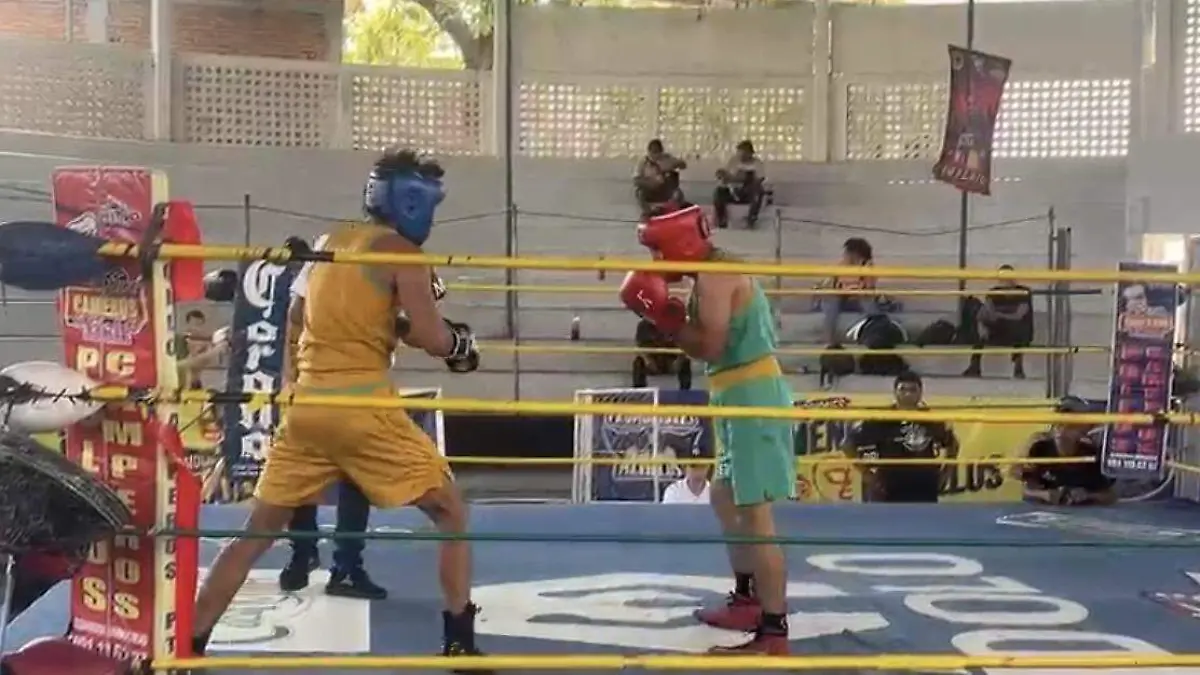 BOXEADOR