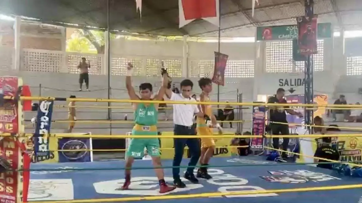 BOXEADOR