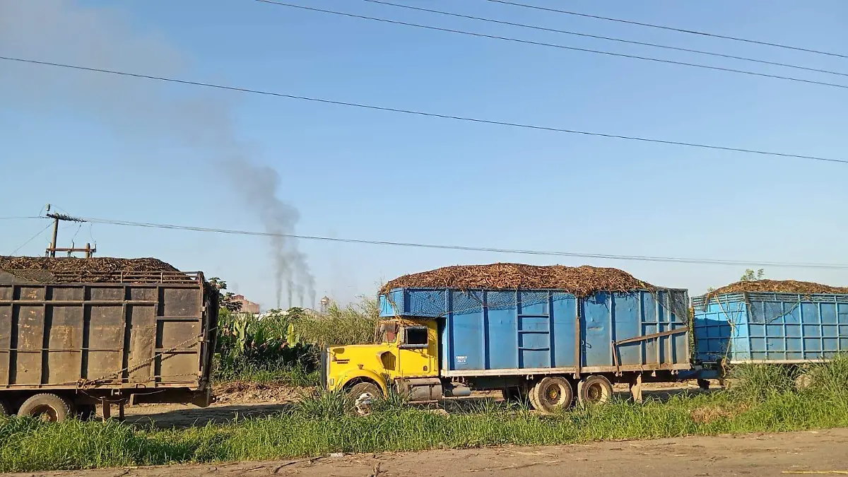 WhatsApp Image 2025-12-21 at 11.13.26 AM