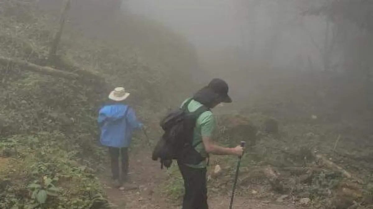 e38d36ed-7edf-49d7-b9db-0a41c99e9f67