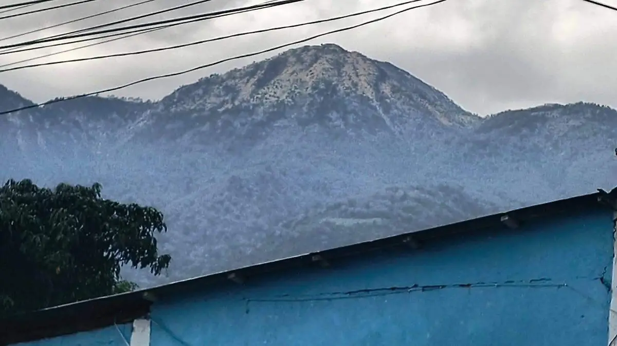 WhatsApp Image 2025-12-29 at 3.49.14 PM