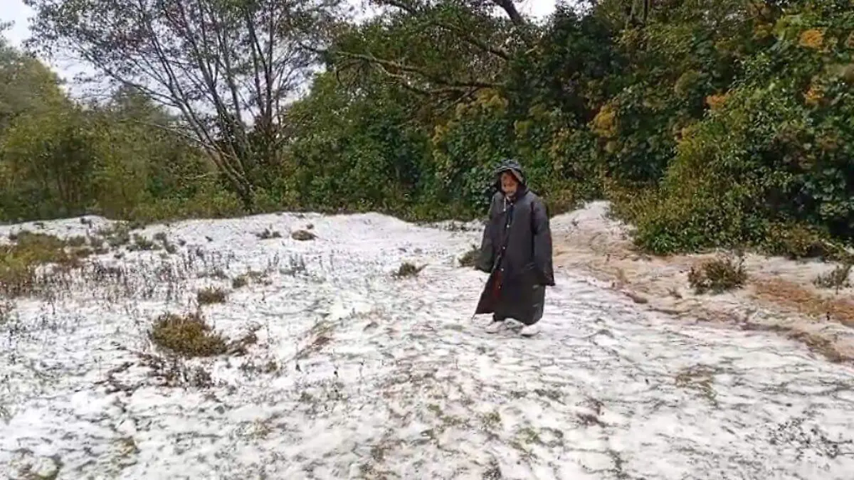 1cf3b6a7-a155-4997-bb38-40bf976ba3db