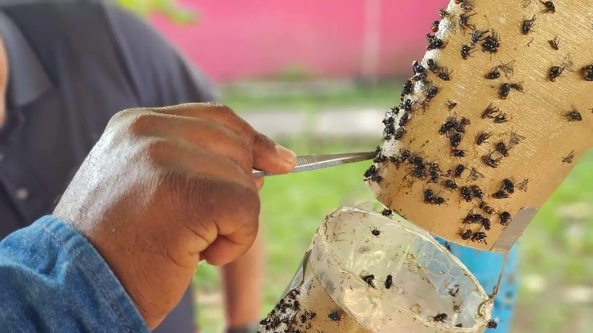 WhatsApp Image 2025-12-30 at 8.55.06 PM (1)