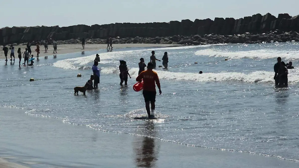 WhatsApp Image 2026-01-01 at 3.29.17 PM (1)