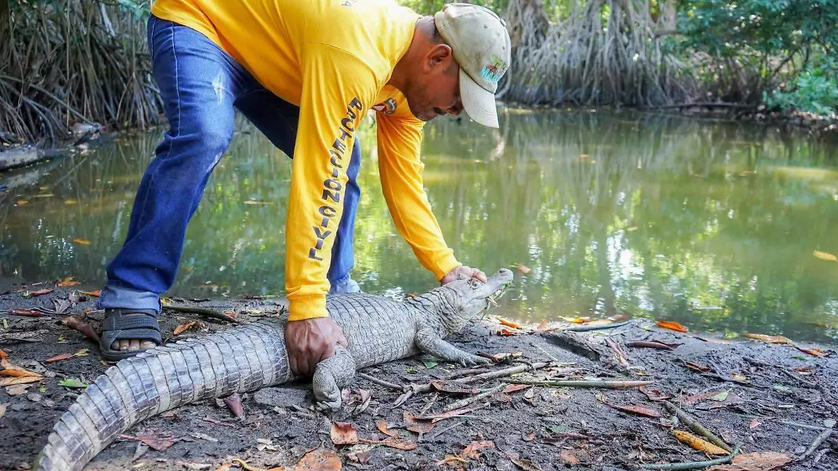 a428f831-4ccf-4a23-8ce2-821538a02526