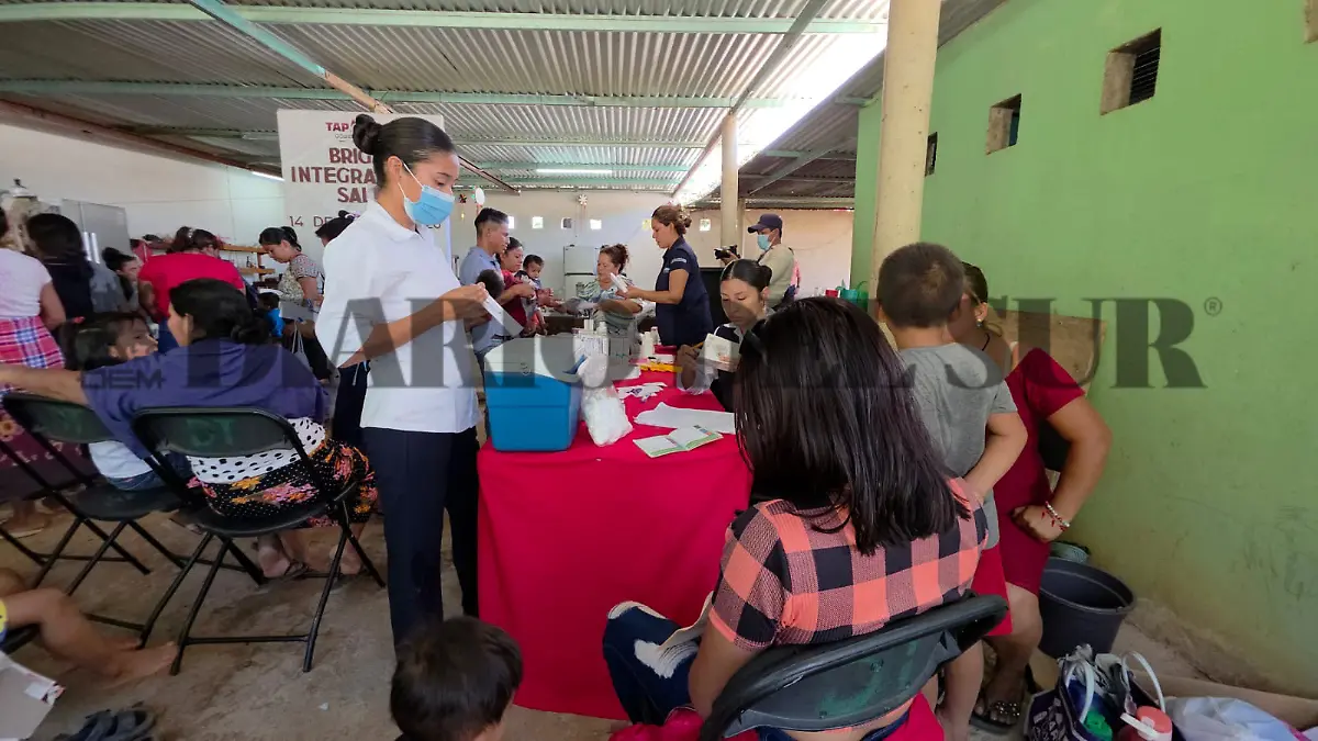 WhatsApp Image 2026-01-14 at 4.34.29 PM