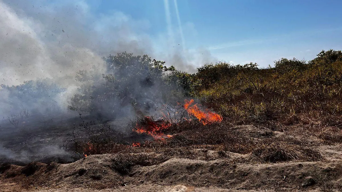 c44d46ab-382d-4540-a34f-f61d4cc38fc0