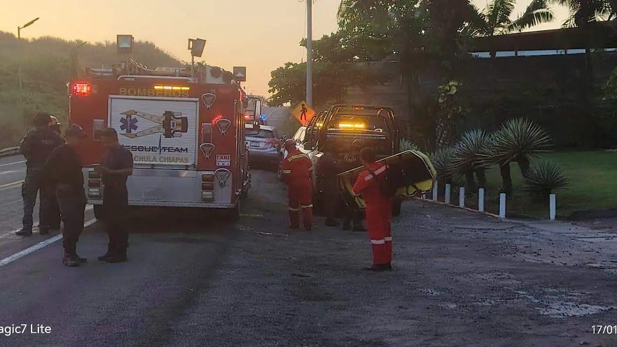 WhatsApp Image 2026-01-17 at 6.34.02 PM