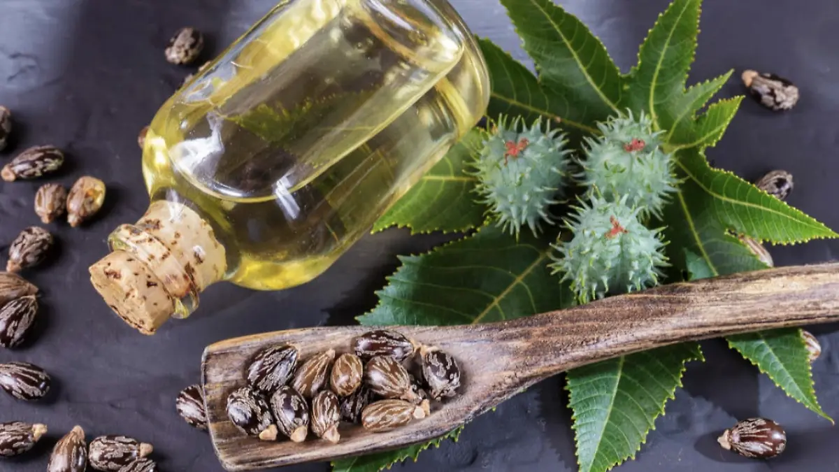 Captura de pantalla 2026-02-03 a la(s) 19.04.38