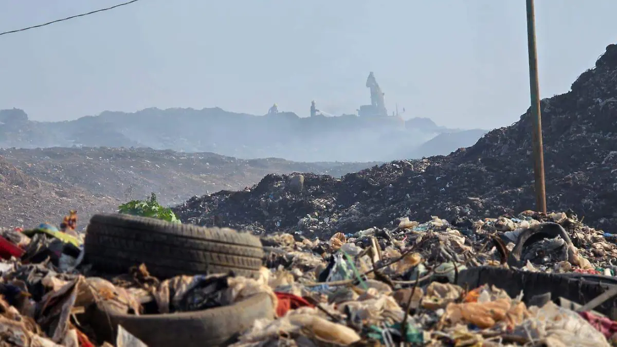 WhatsApp Image 2026-02-04 at 5.37.45 PM