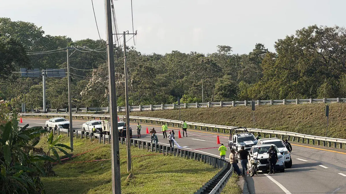 WhatsApp Image 2026-02-09 at 10.25.54 AM