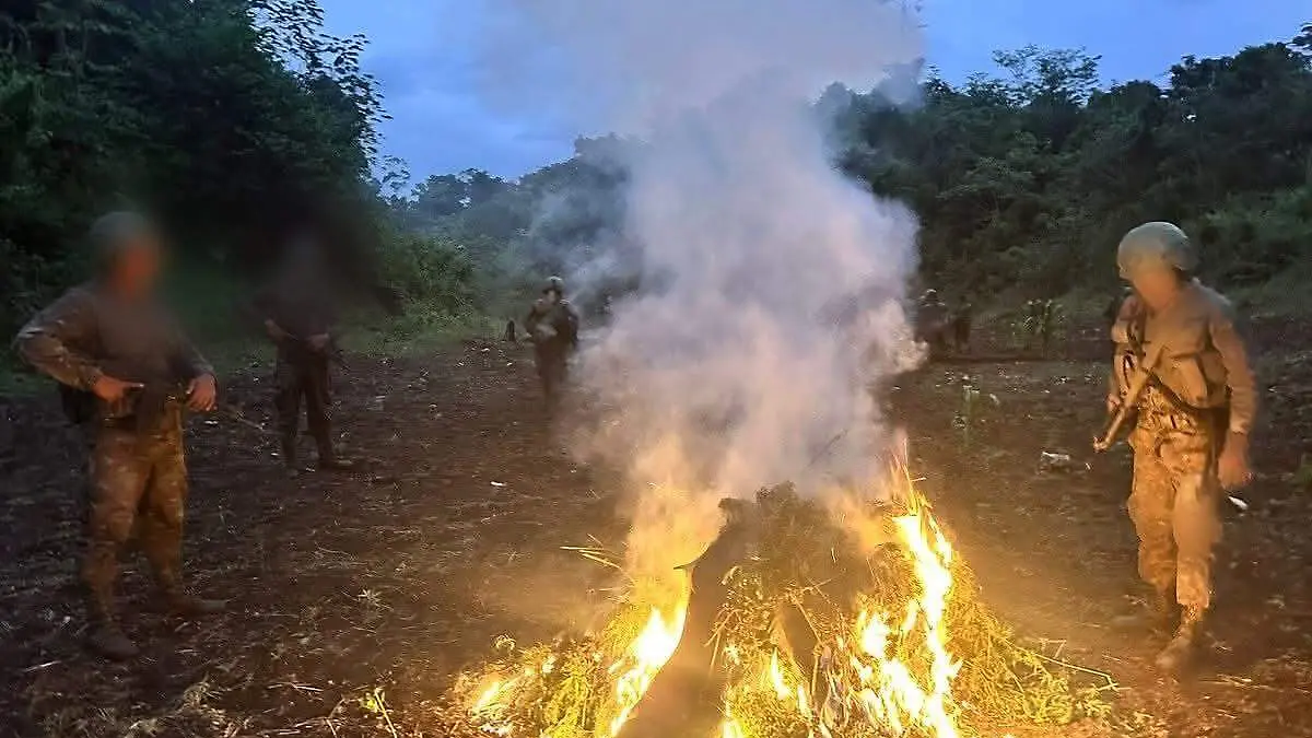 WhatsApp Image 2026-02-09 at 1.13.19 PM