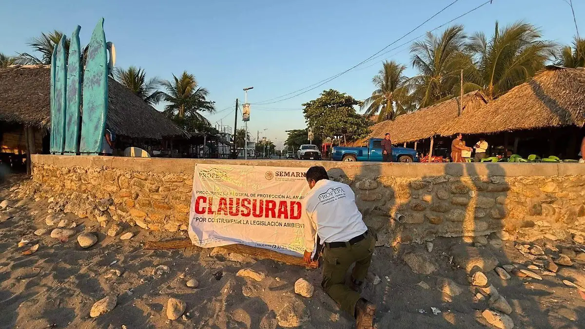 WhatsApp Image 2026-02-09 at 2.04.45 PM