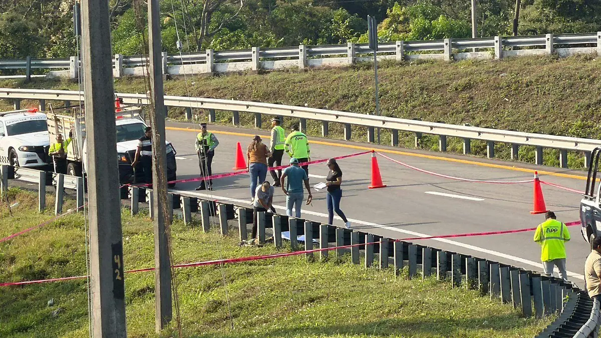 WhatsApp Image 2026-02-10 at 7.48.30 AM